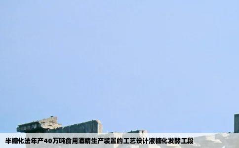 半糖化法年产40万吨食用酒精生产装置的工艺设计液糖化发酵工段