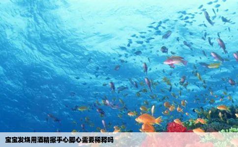 宝宝发烧用酒精擦手心脚心需要稀释吗