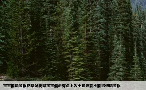 宝宝能喝金银花茶吗我家宝宝最近有点上火不知道能不能给他喝金银