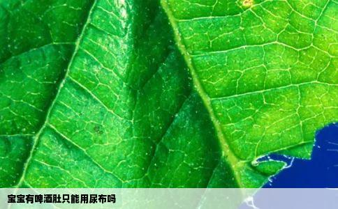 宝宝有啤酒肚只能用尿布吗