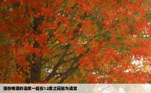 保存啤酒的温度一般在12度之间较为适宜