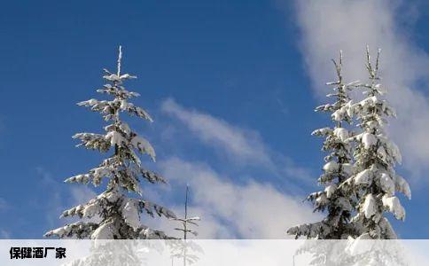 保健酒厂家