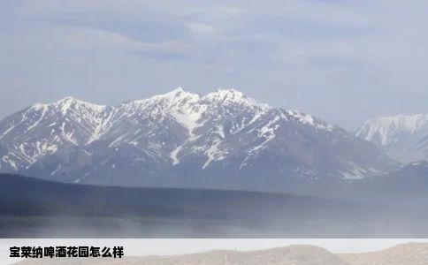 宝莱纳啤酒花园怎么样