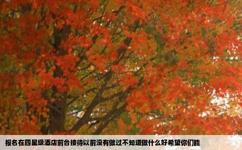 报名在四星级酒店前台接待以前没有做过不知道做什么好希望你们能
