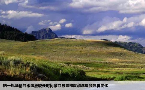 把一瓶酒精的水溶液较长时间敞口放置密度和浓度会怎样变化