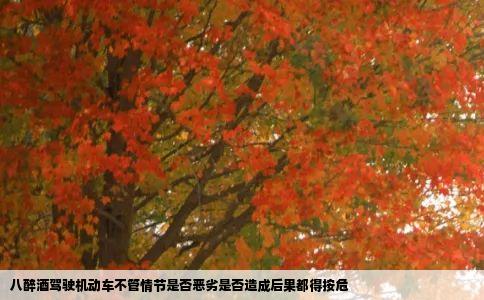 八醉酒驾驶机动车不管情节是否恶劣是否造成后果都得按危