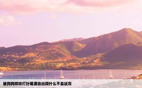 被狗狗咬叻打针喝酒会出现什么不良状况