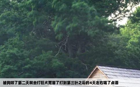 被狗咬了第二天就去打狂犬育苗了打到第三针之后的4天左右喝了点酒