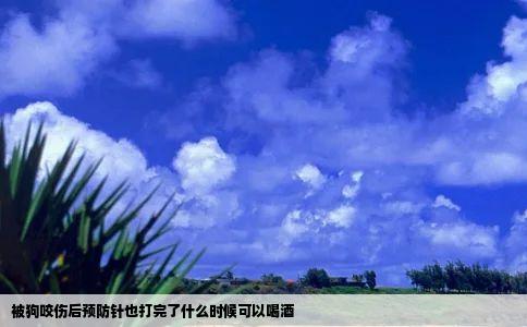 被狗咬伤后预防针也打完了什么时候可以喝酒