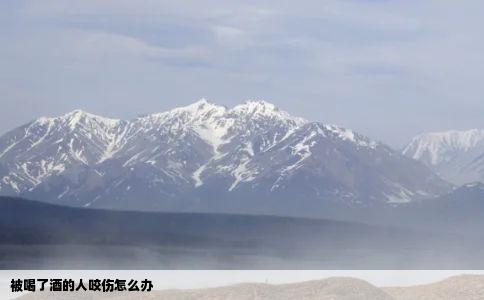 被喝了酒的人咬伤怎么办