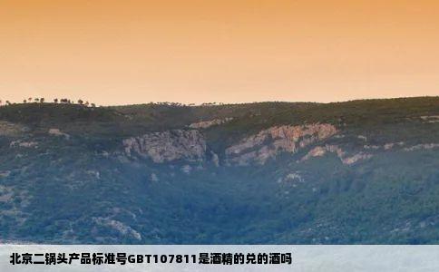 北京二锅头产品标准号GBT107811是酒精的兑的酒吗