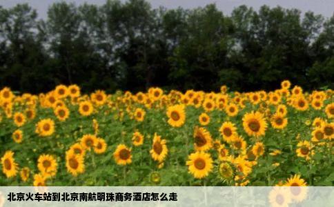 北京火车站到北京南航明珠商务酒店怎么走