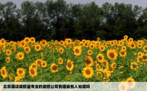 北京酒店装修最专业的装修公司有哪些有人知道吗
