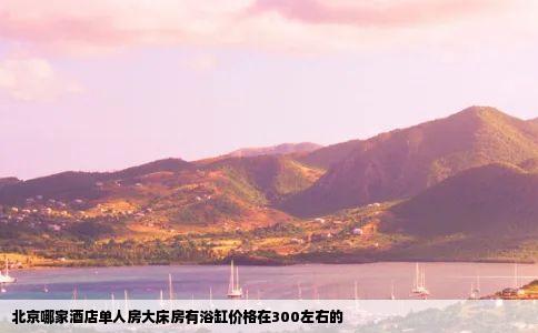 北京哪家酒店单人房大床房有浴缸价格在300左右的