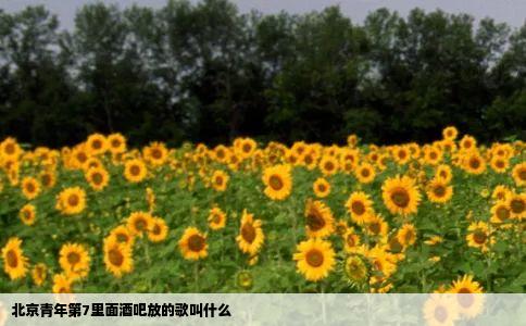 北京青年第7里面酒吧放的歌叫什么