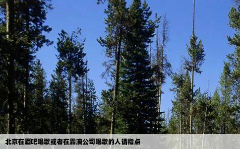 北京在酒吧唱歌或者在露演公司唱歌的人请指点