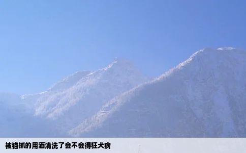 被猫抓的用酒清洗了会不会得狂犬病