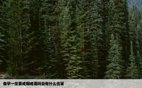 备孕一定要戒烟戒酒吗会有什么伤害