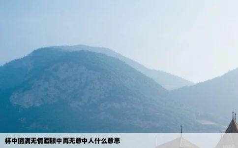 杯中倒满无情酒眼中再无意中人什么意思