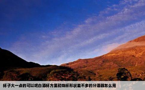 杯子大一点的可以吧白酒杯方里和烧杯形状差不多的分酒器怎么用