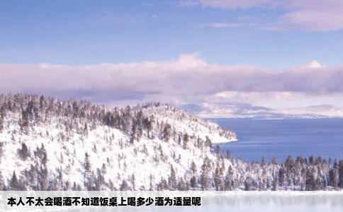 本人不太会喝酒不知道饭桌上喝多少酒为适量呢