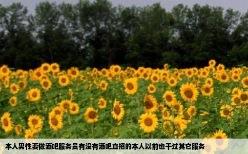 本人男性要做酒吧服务员有没有酒吧直招的本人以前也干过其它服务
