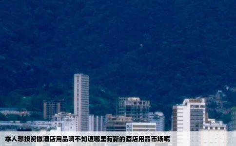 本人想投资做酒店用品啊不知道哪里有新的酒店用品市场呢