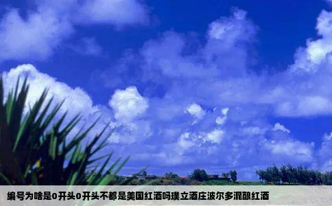 编号为啥是0开头0开头不都是美国红酒吗璞立酒庄波尔多混酿红酒