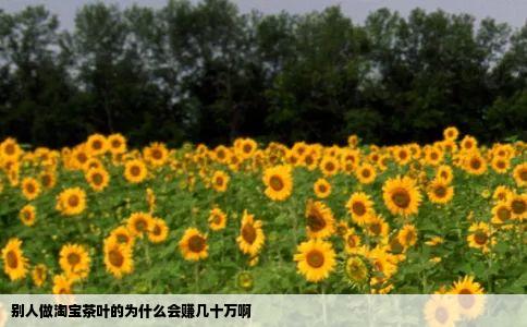 别人做淘宝茶叶的为什么会赚几十万啊