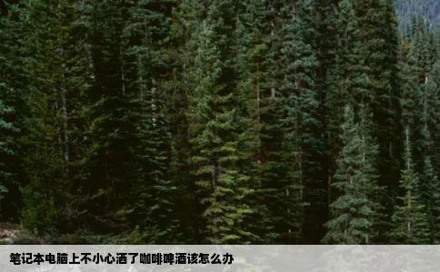 笔记本电脑上不小心洒了咖啡啤酒该怎么办