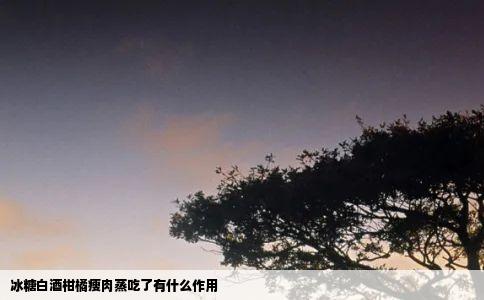 冰糖白酒柑橘瘦肉蒸吃了有什么作用