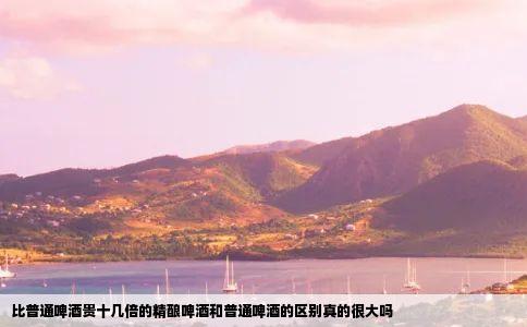 比普通啤酒贵十几倍的精酿啤酒和普通啤酒的区别真的很大吗