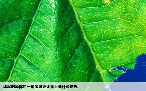 比起烟酒你的一句宝贝更让我上头什么意思