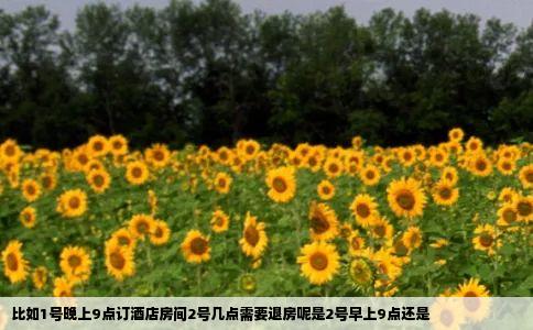 比如1号晚上9点订酒店房间2号几点需要退房呢是2号早上9点还是