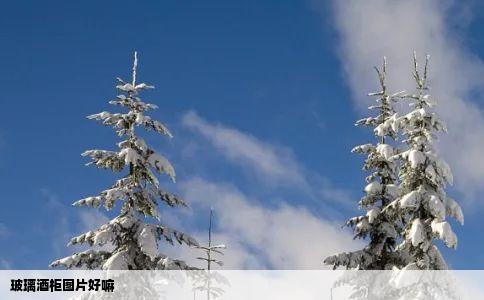 玻璃酒柜图片好嘛