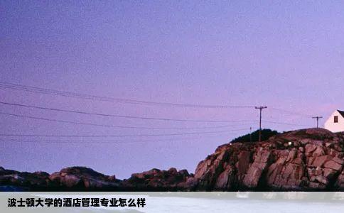 波士顿大学的酒店管理专业怎么样