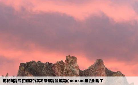 部长叫我写在酒店的实习感想我是跑菜的400500谁会谢谢了