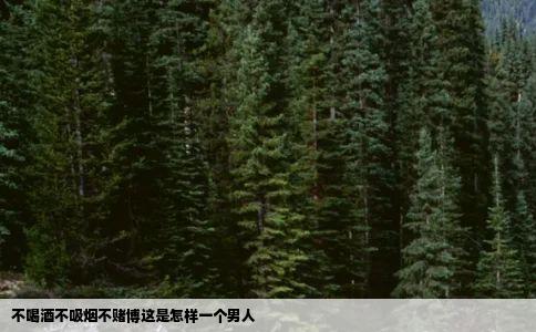 不喝酒不吸烟不赌博这是怎样一个男人