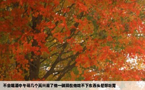 不会喝酒中午哥几个高兴灌了他一碗现在他吃不下东西头晕想吐胃