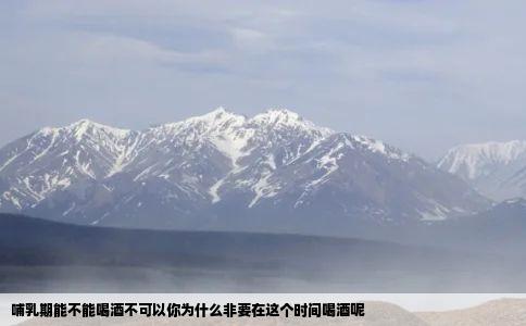哺乳期能不能喝酒不可以你为什么非要在这个时间喝酒呢
