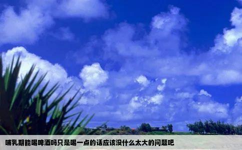 哺乳期能喝啤酒吗只是喝一点的话应该没什么太大的问题吧