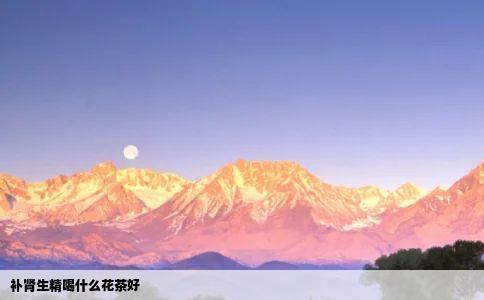 补肾生精喝什么花茶好