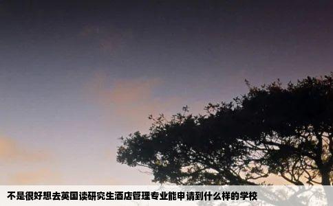 不是很好想去英国读研究生酒店管理专业能申请到什么样的学校