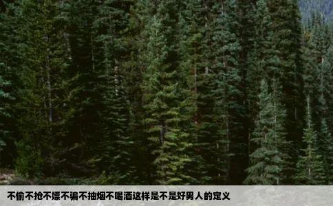 不偷不抢不嫖不骗不抽烟不喝酒这样是不是好男人的定义