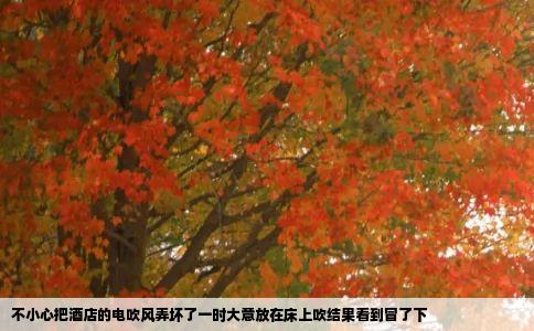 不小心把酒店的电吹风弄坏了一时大意放在床上吹结果看到冒了下