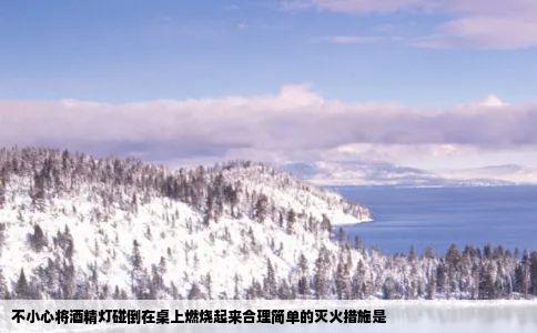 不小心将酒精灯碰倒在桌上燃烧起来合理简单的灭火措施是