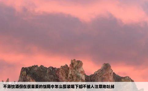 不愿饮酒但在很重要的饭局中怎么假装喝下却不被人注意地吐掉