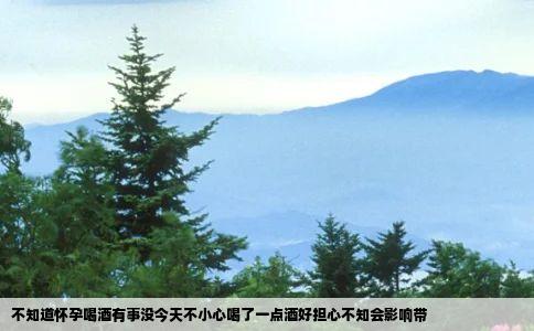 不知道怀孕喝酒有事没今天不小心喝了一点酒好担心不知会影响带
