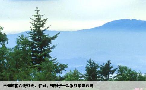 不知道能否将红枣桂圆枸杞子一起跟红茶泡着喝