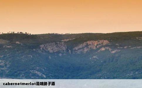 cabernetmerlot是啥牌子酒